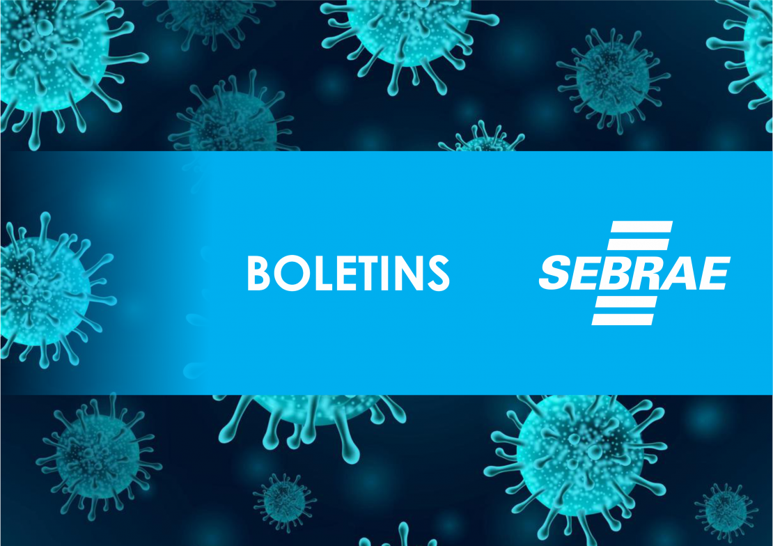 Boletim SEBRAE 015